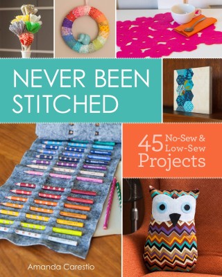Never Been Stitched cover