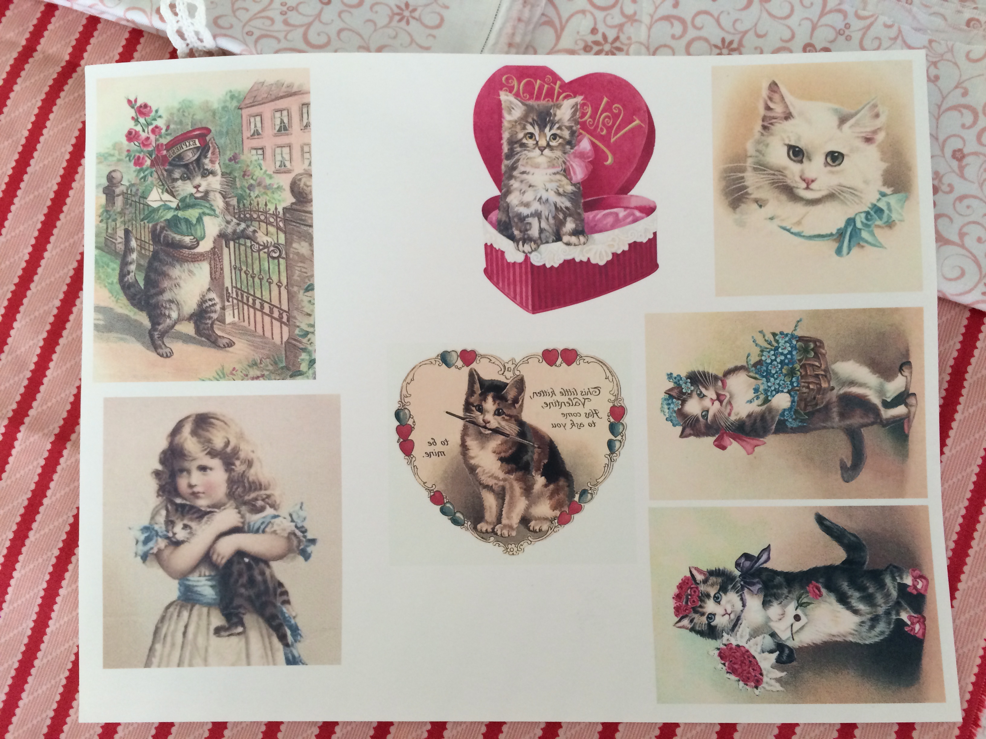 vintage valentine cat