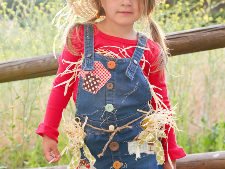 Tamara Scarecrow Costume made with HeatnBond Soft Stretch